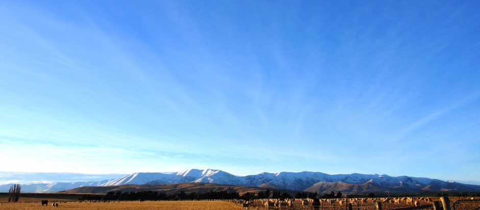 Sunrays