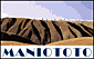 E-mail Us