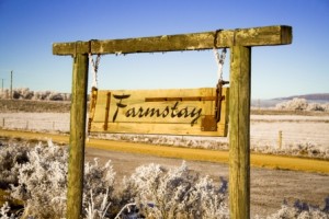 Farmstay