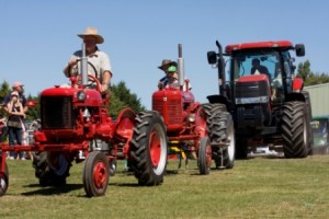 A & P Show, Events, Maniototo, Central Otago, New Zealand