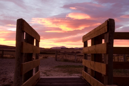Rail Trail, Central Otago, New Zealand, Accomodation, Sunset