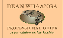 Dean Whaanga