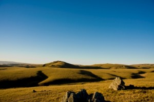 Paerau Landscape