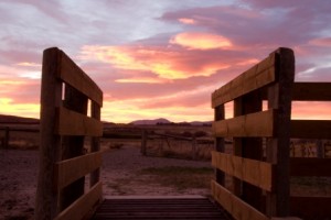 Rail Trail sunset at Wedderburn
