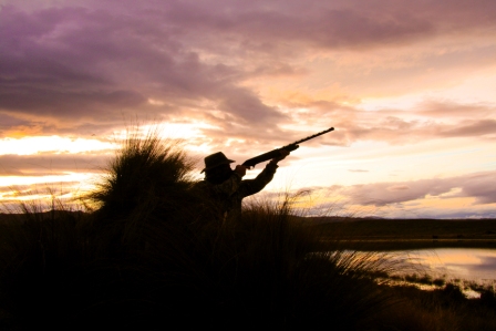 duckshooting